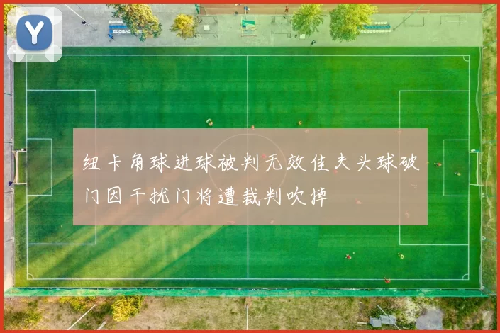 纽卡角球进球被判无效佳夫头球破门因干扰门将遭裁判吹掉